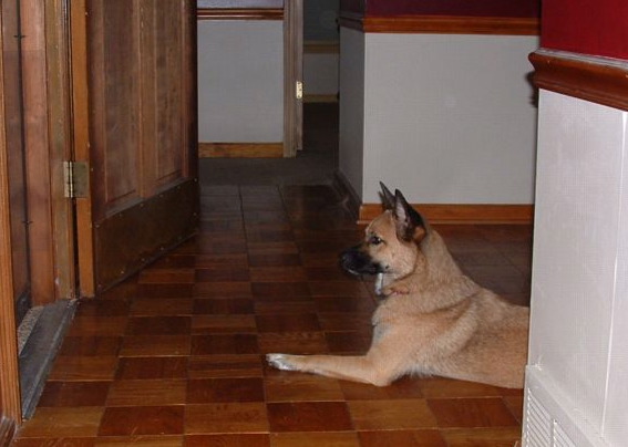Zoe guards the door